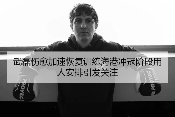 武磊伤愈加速恢复训练海港冲冠阶段用人安排引发关注